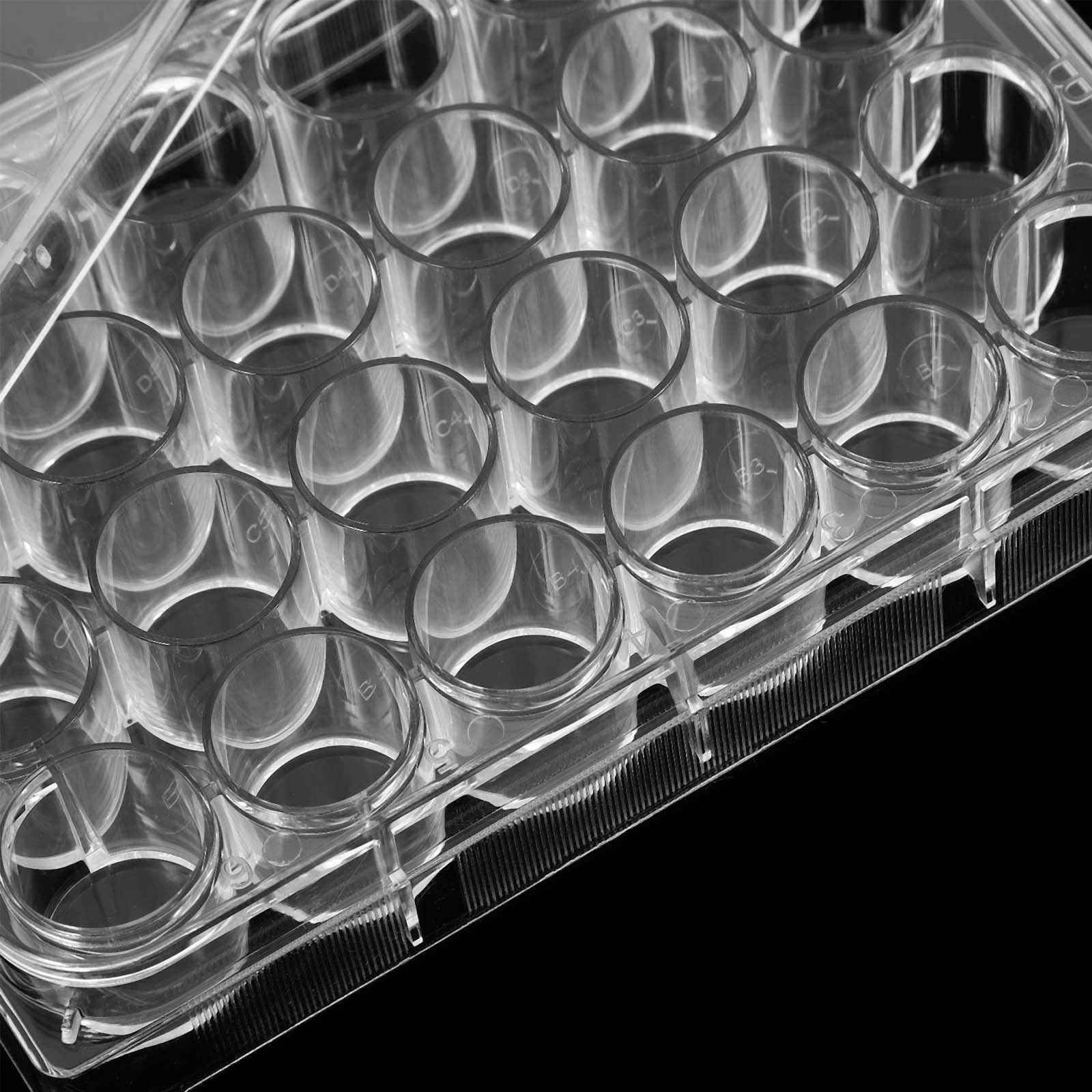 2 шт. 24-луночные планшеты для – обзор и цена Lab Equipment